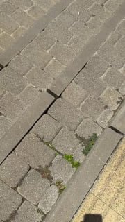 В Краснодаре началось строительство храма на набережной вопреки протестам жителей