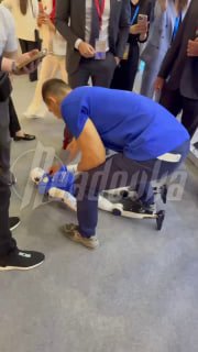 На ПМЭФ робот проявил агрессию, его пришлось экстренно отключить