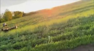 Иллюстрация 2