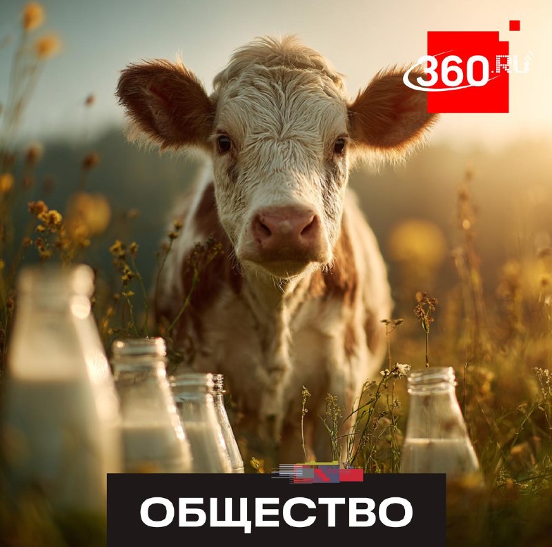 Подмосковье — регион №1 по переработке молока в стране