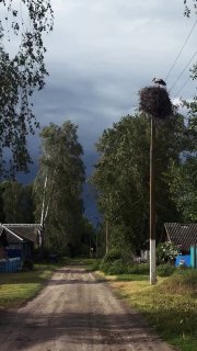 Погода в Брянской области: жара и приближение грозы