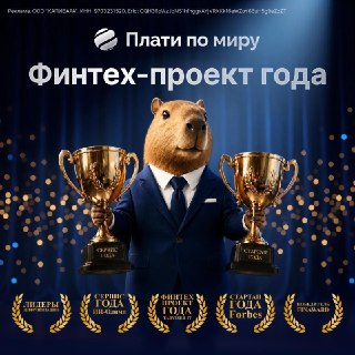 Сервис «Плати по миру» получил пять премий в области финтеха и цифровизации