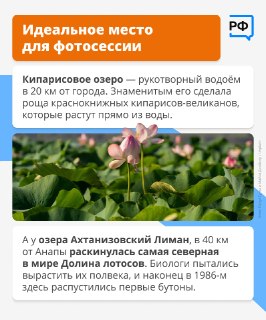 Иллюстрация 7