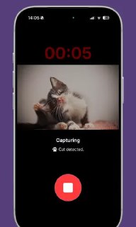 Для iPhone разработали нейросеть-переводчик кошачьего мяуканья