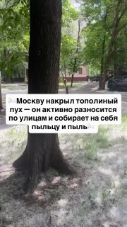 Иллюстрация 1