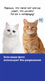 Как защитить свои фото и видео от несанкционированного использования в интернете