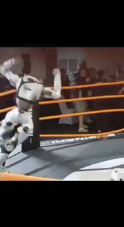 Видео подпольных боёв со ставками китайских гуманоидных роботов EngineAI T800