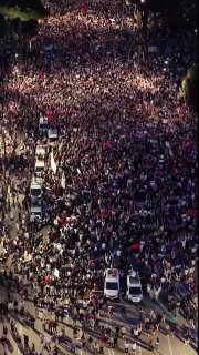 В Албании протестуют против строительства курорта компании зятя Дональда Трампа