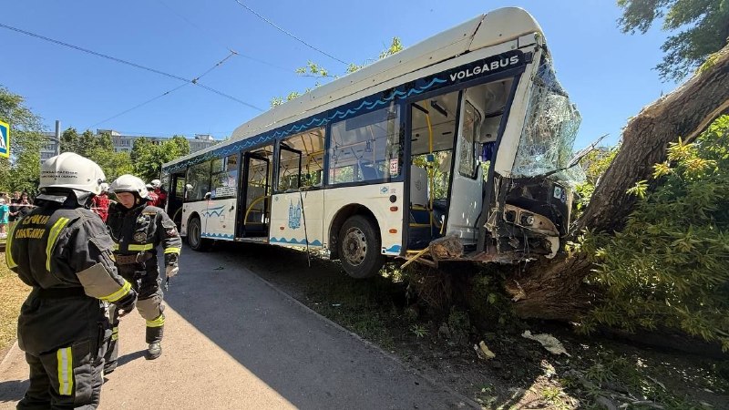 В Саратове автобус врезался в дерево, есть пострадавшие