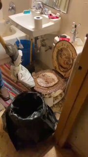 В Индии мужчина целый год пользовался полностью забитым унитазом