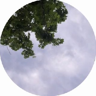 Иллюстрация 2
