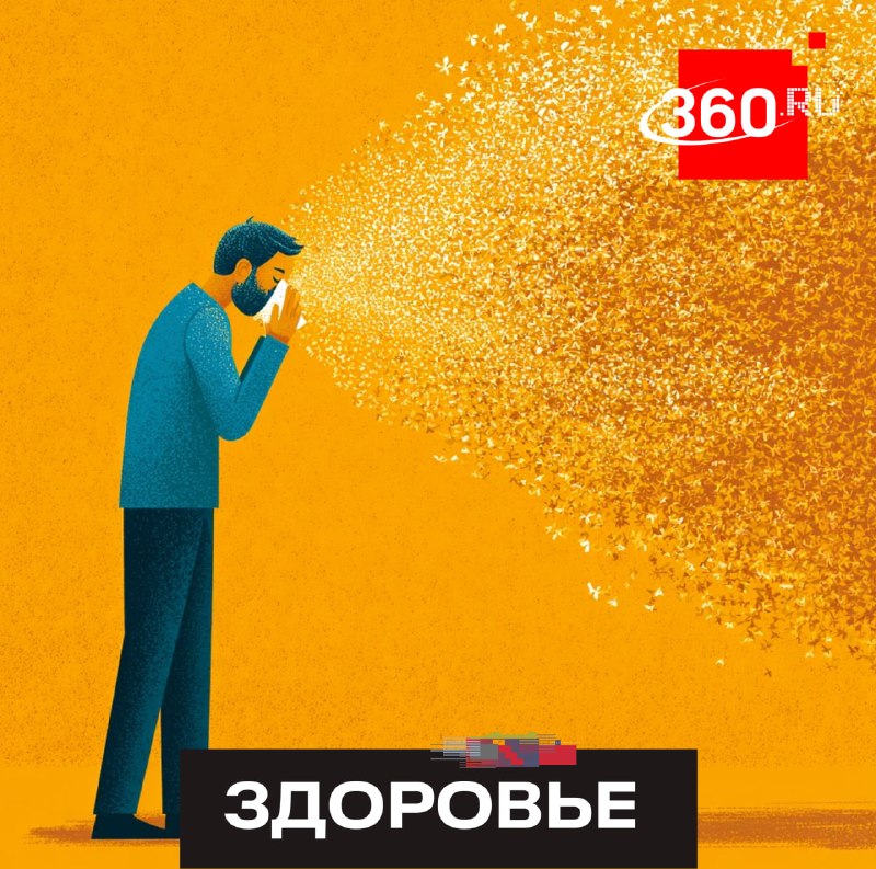 В России в 2027 году начнутся испытания вакцины от аллергии на амброзию
