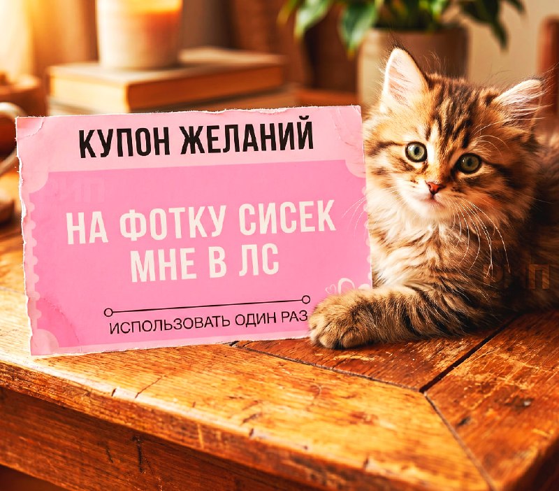 Сегодня отмечается «Национальный день отправки фото с сиськами»