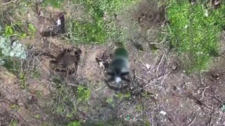 Уничтожение техники и живой силы ВСУ в районах Новоданиловки и Ореха