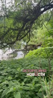Иллюстрация 3