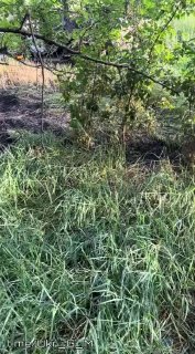 Уничтожение двух украинских САУ M109 на Славянском направлении с помощью FPV-дронов