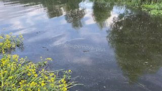 В Волге появились нефтяные пятна после атаки БПЛА в Ярославской области