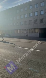 В Петербурге испуганная лошадь носилась по улицам у метро «Технологический институт»