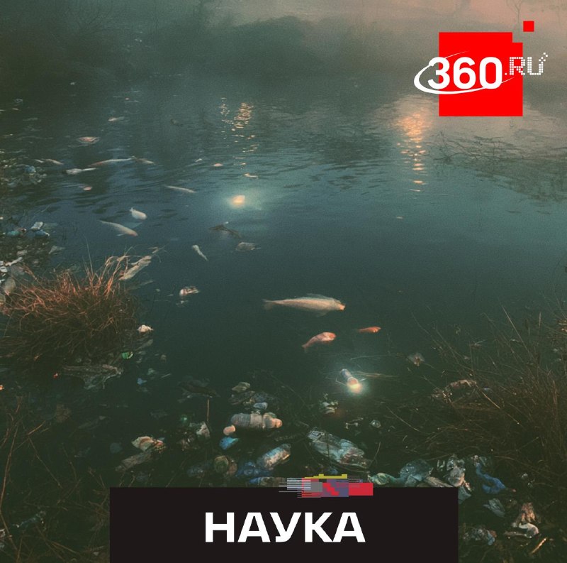 «Вечные химикаты» можно уничтожить с помощью ультрафиолета
