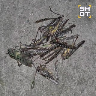 Иллюстрация 2