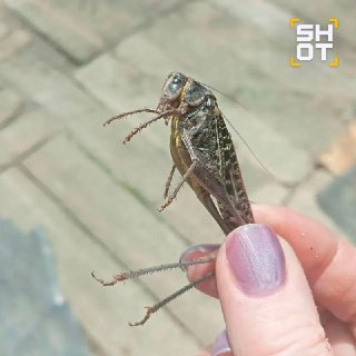Иллюстрация 3
