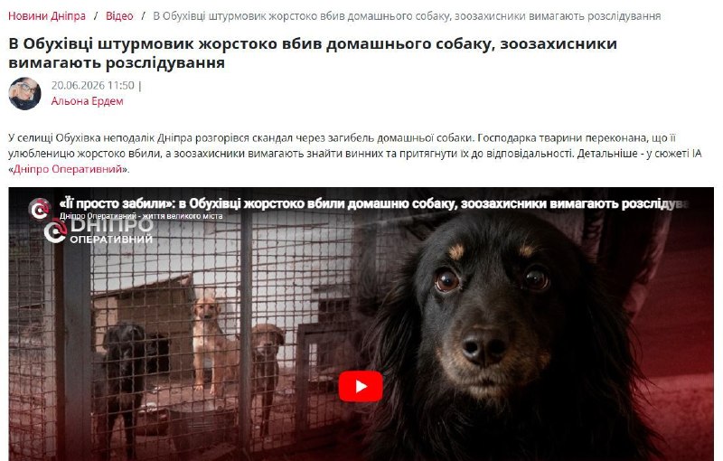 В Днепропетровской области демобилизованный военный подозревается в жестоком убийстве собаки