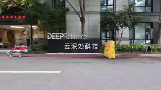 Китайская компания DeepRobotics представила робота-собаку для тушения пожаров