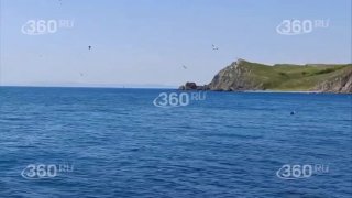 Иллюстрация 2