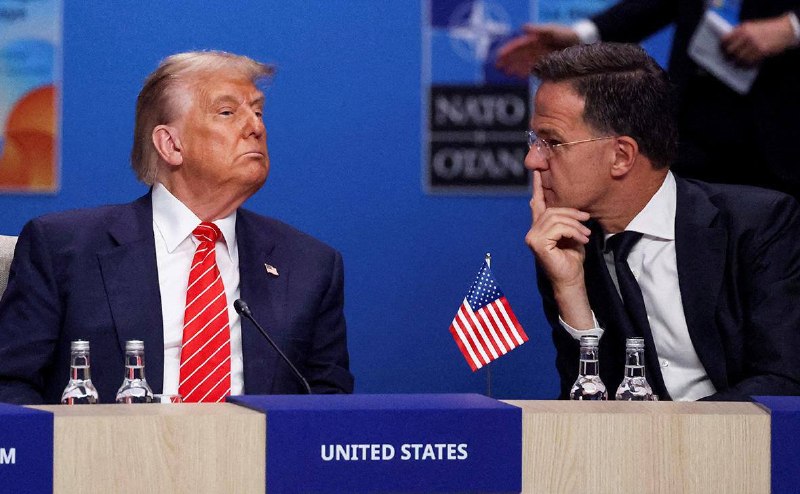 Рютте выбрали генсеком НАТО из-за умения успокаивать Трампа
