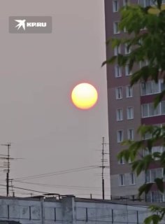 В Новосибирске из-за смога от пожаров наблюдалось «адское» солнце