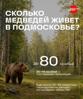 Иллюстрация 3