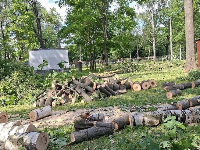 В сквере рядом с дацаном начали вырубать деревья для благоустройства и установки памятника пограничникам