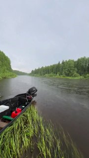 Лето в Пермском крае