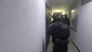 В Петербурге задержали мужчину, помогавшего мошенникам регистрировать аккаунты в мессенджерах