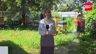 В Коломне на пасеке создают уникальные восковые иконы