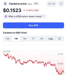 Уязвимость в проекте Cardano привела к потере более $20 млн