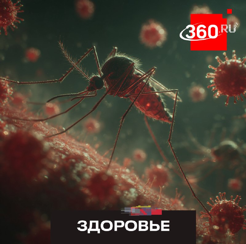 Лихорадку денге всё чаще диагностируют у российских туристов