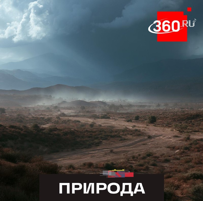 Климатолог объяснила причины аномальной жары в США и Европе