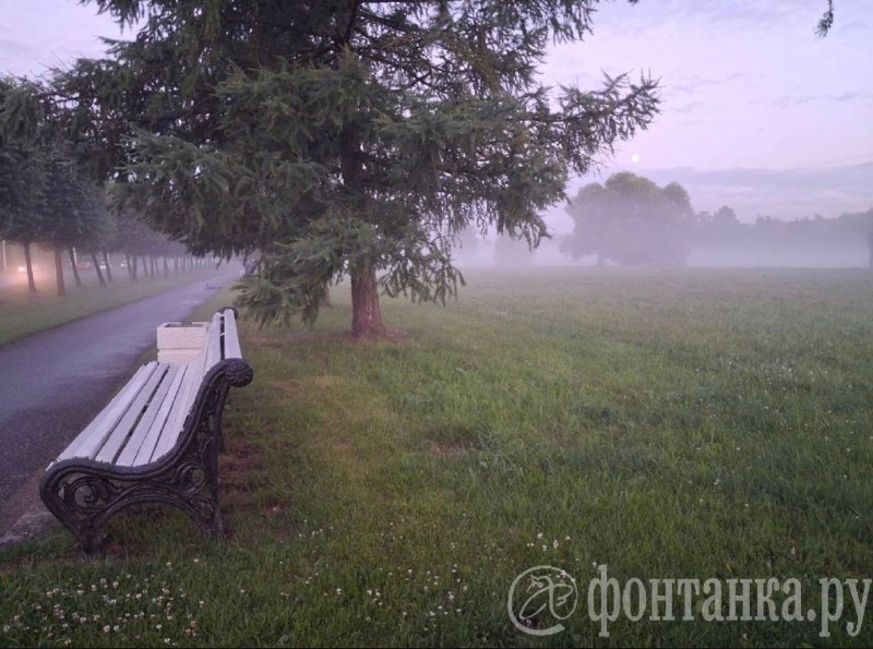 Иллюстрация 2
