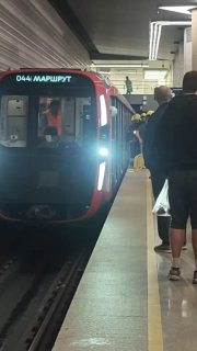 На станции Авиамоторная БКЛ пассажир упал под поезд