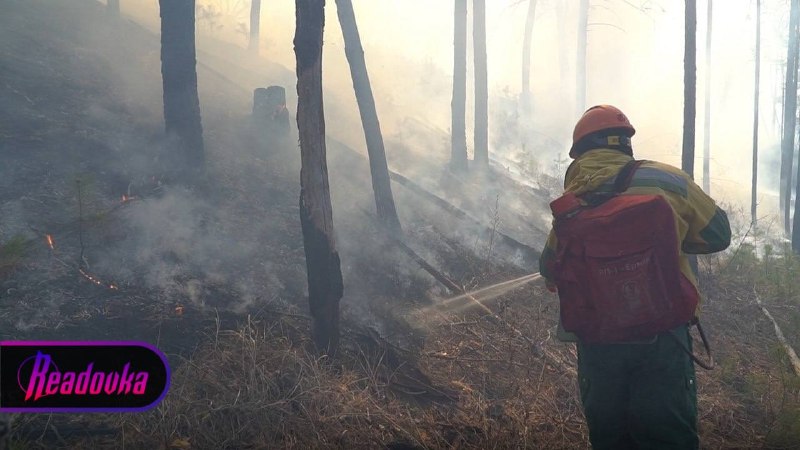 В 14 регионах России продолжают тушить более 200 лесных пожаров
