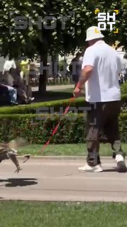 В Кисловодске просят спасти орла от «рабовладельца»