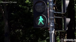 На Васильевском острове установили светофор для обучения детей дням недели
