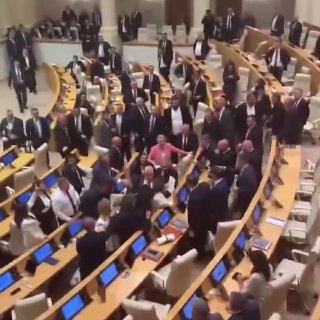 В парламенте Грузии произошла массовая драка депутатов