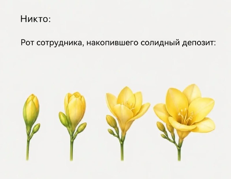 Слухи об изъятии вкладов граждан в пользу бюджета