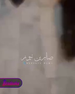 Иллюстрация 2