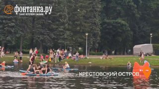 В Приморском парке Победы собаки осваивают сапборды