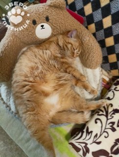 Выходные — всё. А у тех, кто ложится рано, они ещё и короче.