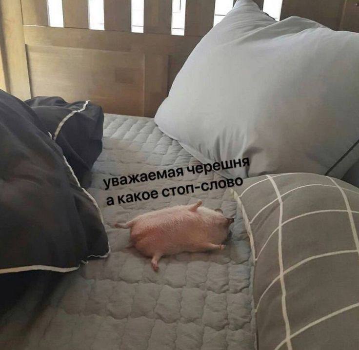 Отмечаем День черешни порцией мемов