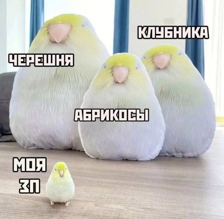 Иллюстрация 4